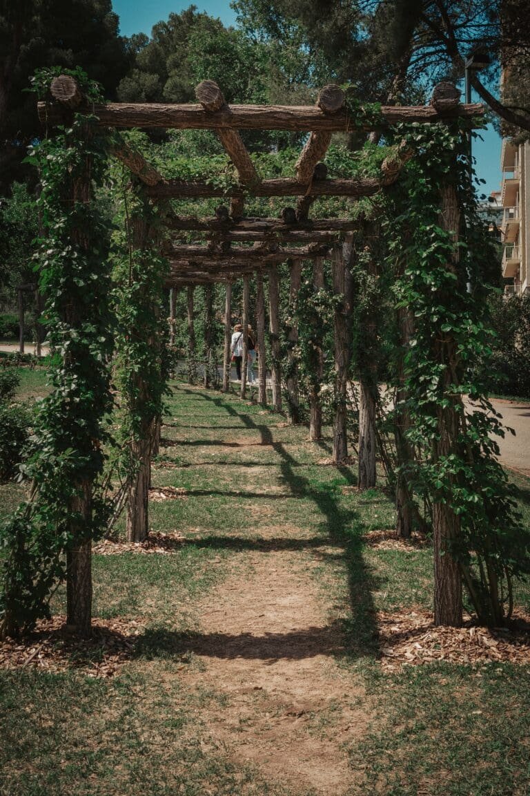 Pergole: Piękno i Funkcjonalność w Twoim Ogrodzie