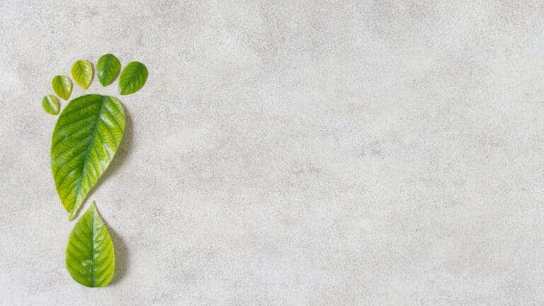 Jak recyklingować stare AGD i dbać o środowisko przy wymianie sprzętu?