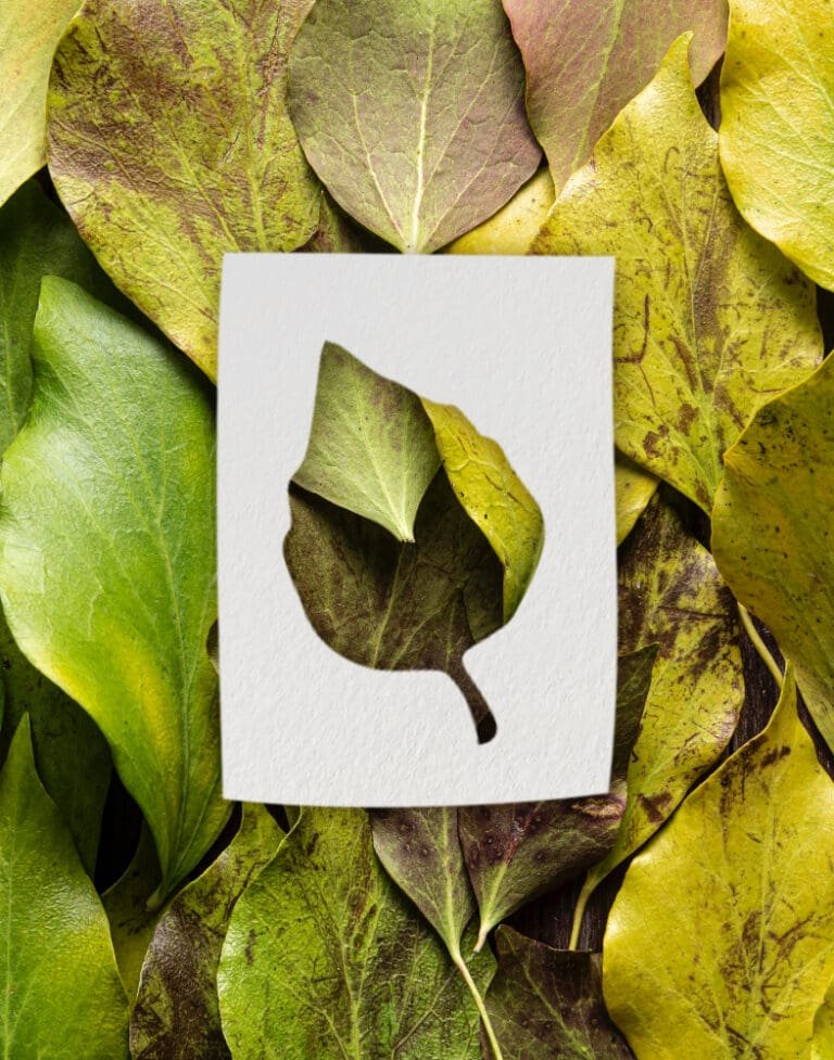 Czy oszczędzanie na AGD zawsze idzie w parze z ekologią?