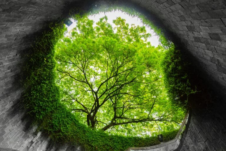 Izolacja domu – jak zmniejszyć straty ciepła i obniżyć rachunki za ogrzewanie?